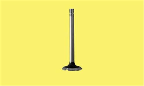 SUBAP EMME EGZOZ C3-P107-P207-P307 1.4i 16V IN-8/EX-8